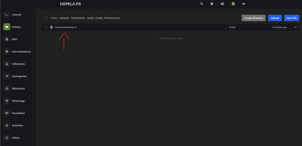 image-1-1024x494 🦖 Guide complet pour configurer votre serveur ARK: Survival Ascended